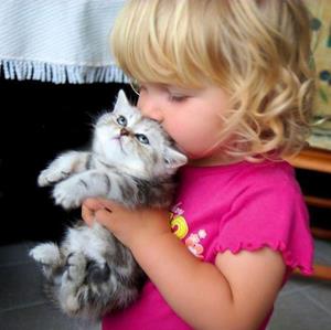 Новорожденный котенок в руках сон. b483b802785357146ddfdfb832bc7499. Новорожденный котенок в руках сон фото. Новорожденный котенок в руках сон-b483b802785357146ddfdfb832bc7499. картинка Новорожденный котенок в руках сон. картинка b483b802785357146ddfdfb832bc7499. Сновидения с их появлением могут означать хлопоты, неожиданный сюрприз или неприятности, если животных было очень много. Сонник пишет много, к чему снятся маленькие новорождённые котята различным людям на разных жизненных этапах. Обратите внимание, как они появились во сне, что делали, здоровы ли они были или больные, а также их порода и цвет.