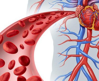 Как сохранить здоровье сосудам