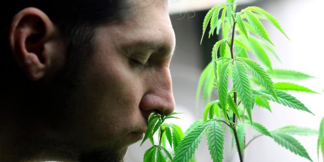 Как избавиться зависимости от травы