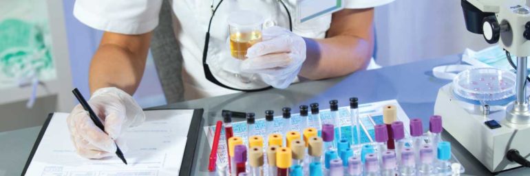 Ветеринарная клиника: как сделать правильный выбор