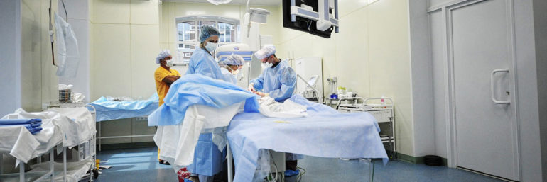 Ветеринарная клиника: как сделать правильный выбор