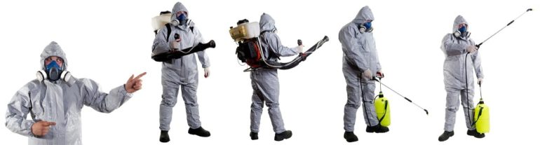 Преимущества профессиональной дезинсекции