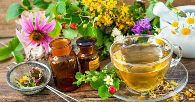 Фитотерапия - особенности и преимущества