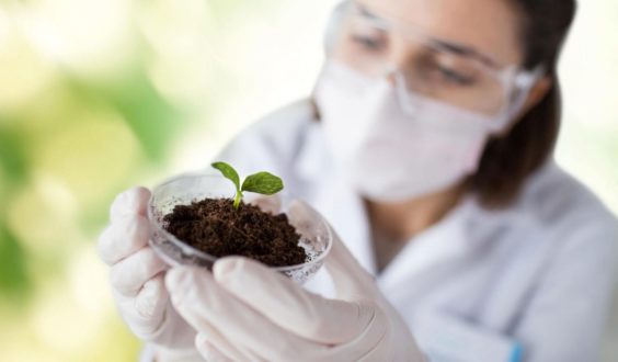 Особенности экологической экспертизы