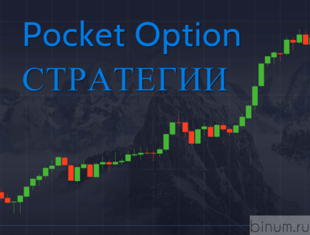 Особенности торговой платформы Pocket Option