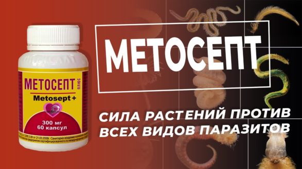 Метосепт