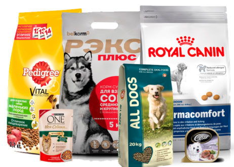 Сухой корм для собак- каким он должен быть основные его преимущества