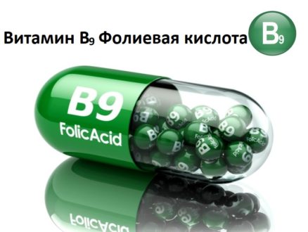Витамин B9 (фолиевая кислота): зачем он нужен нашему организму?