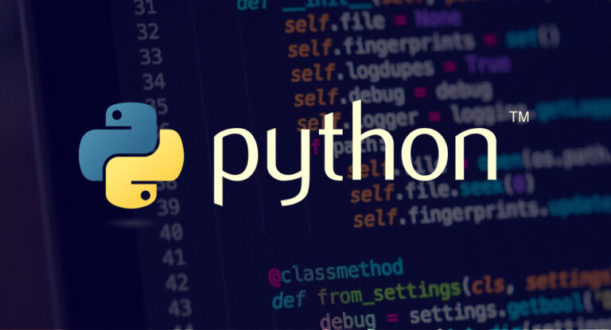 Программирование на Python для детей: пробуждаем любознательность и креативность