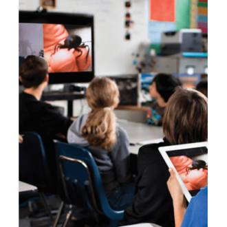 Що таке аудіовізуальні тренінги?