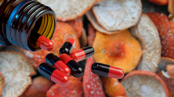 Снижение аллергических реакций при микродозинге сушеных мухоморов.